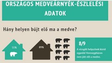 grafika